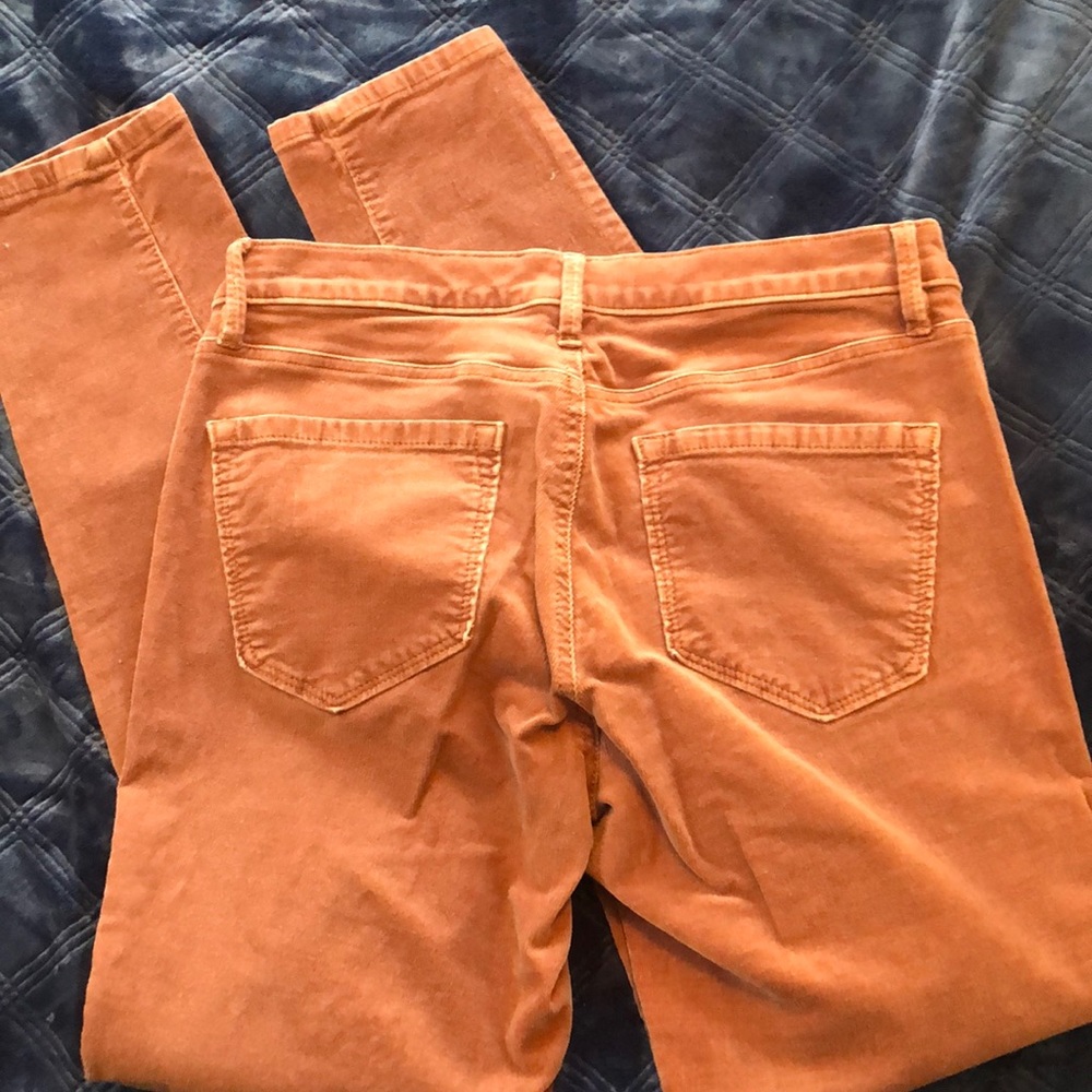 Ann Taylor Loft Modern Skinny Corduroy Jeans